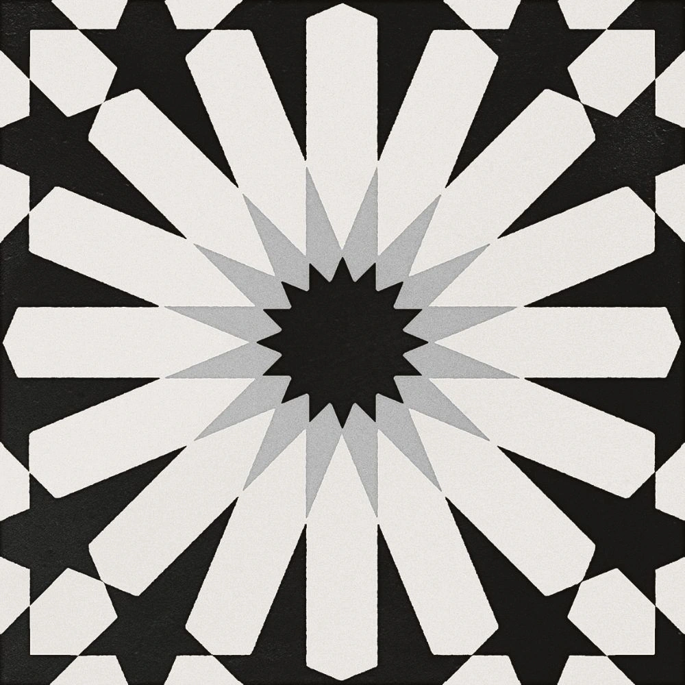 Etna Aster Blk & Wht 8X8 Matte