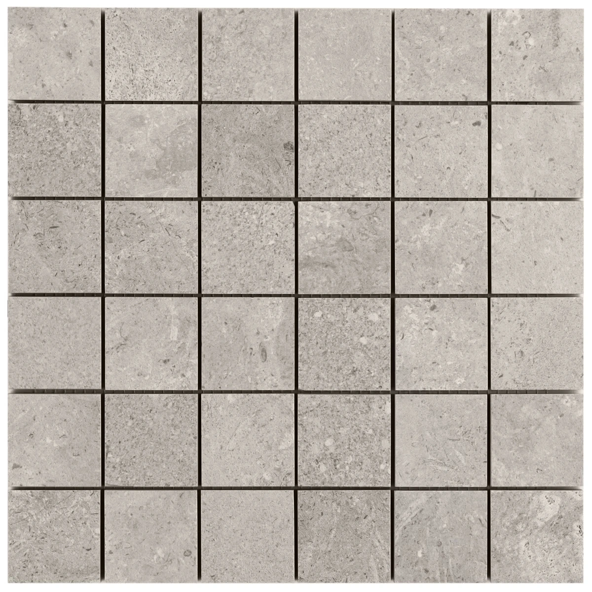 Chevalier Grigio 2x2 Matte Porcelain