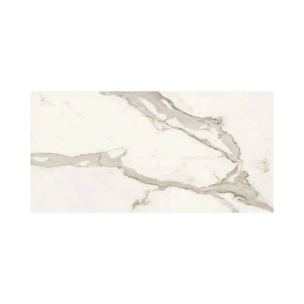 Calact Light 24X48 Polished