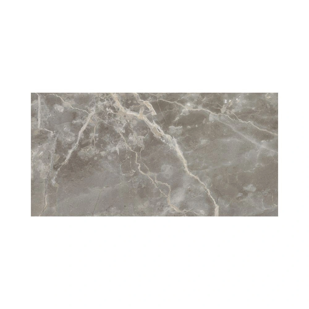 Fiore D’Bosc 24X48 Polished