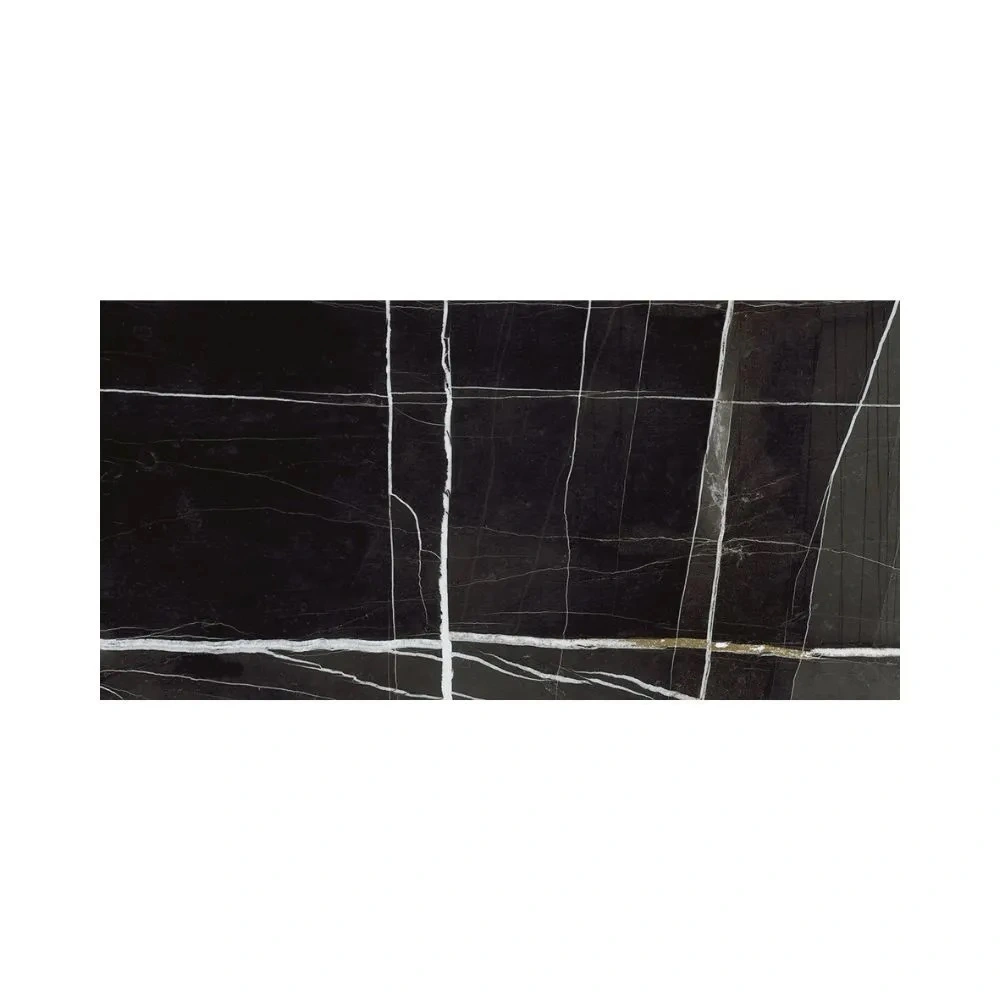 Sahara Noir 24X48 Polished