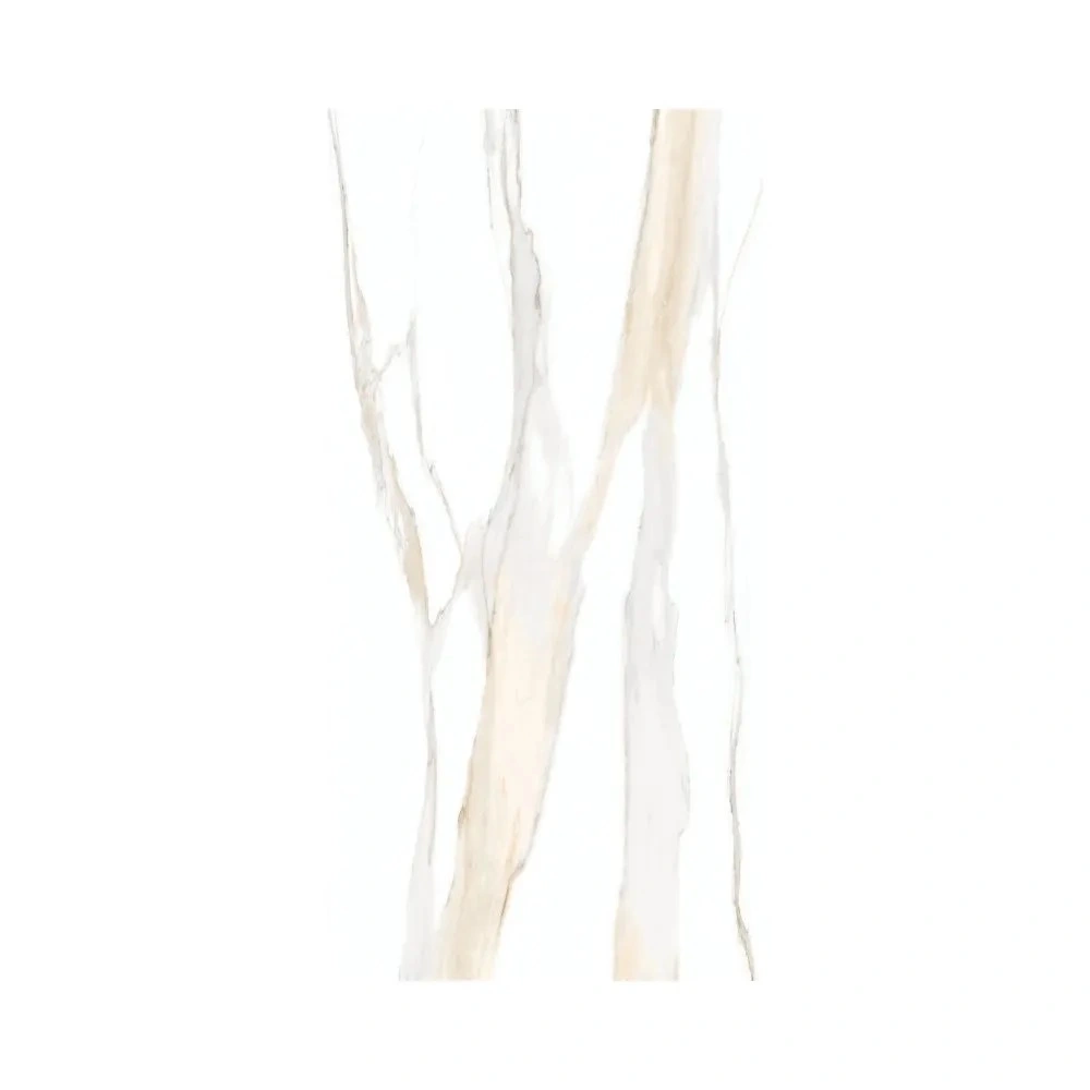 Calacatta Gold 24X48 Matte