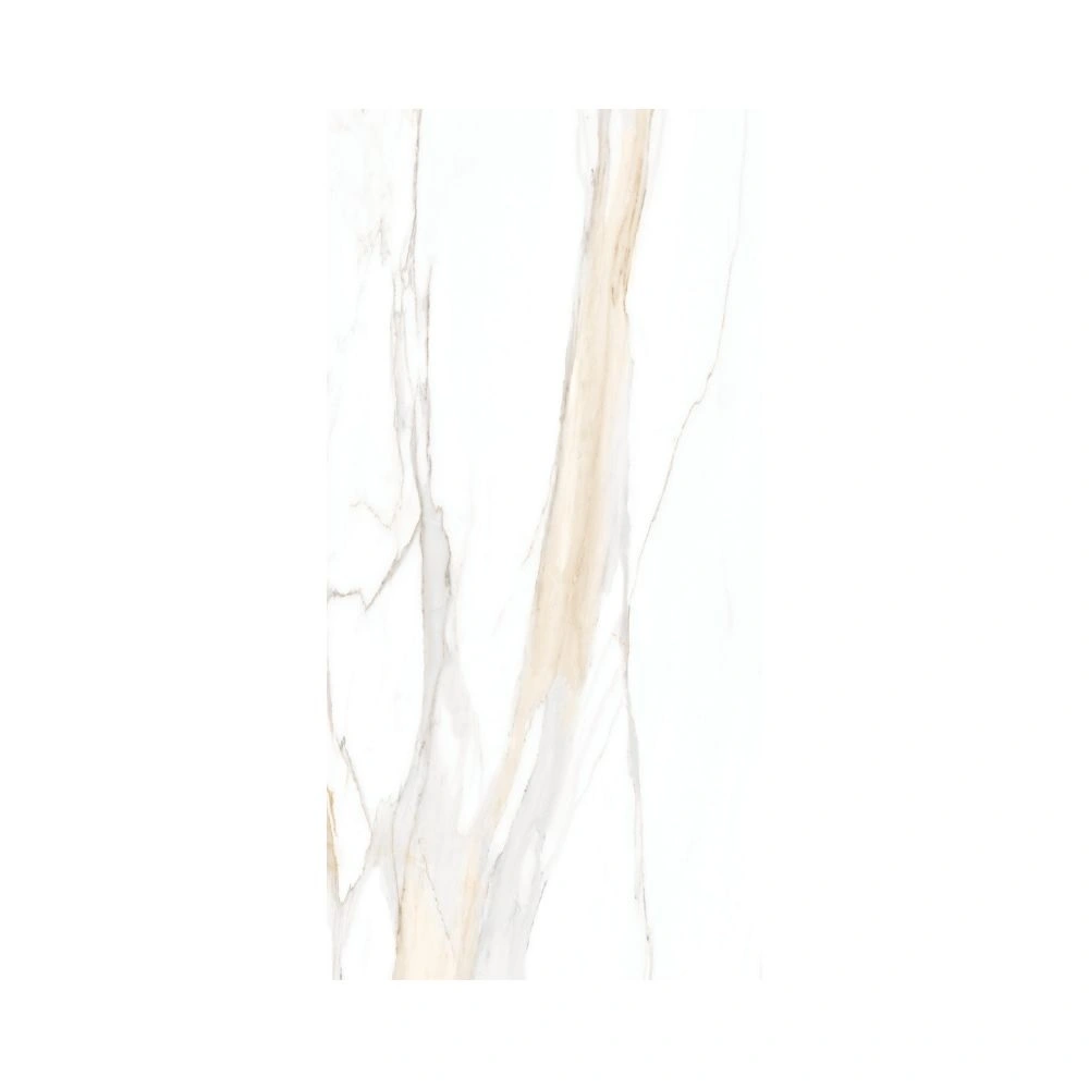 Calacatta Gold 24X48 Polished