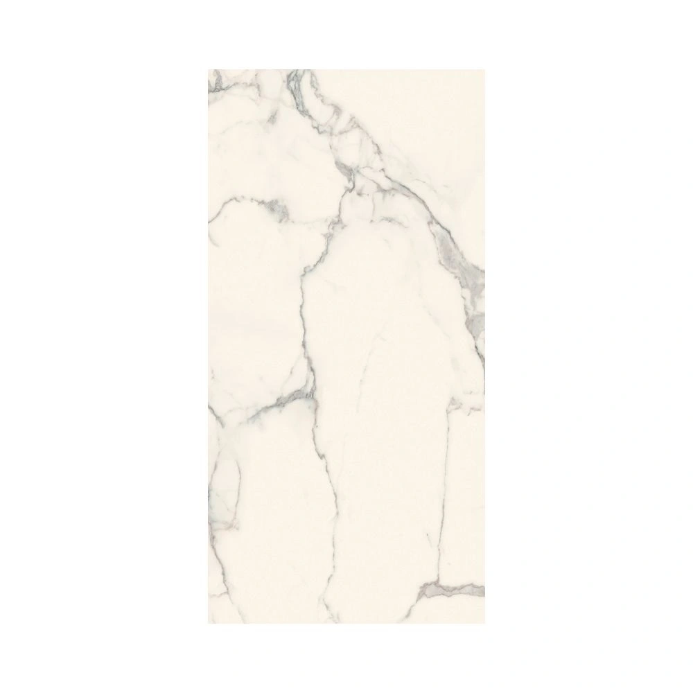 Statuario 24X48 Satin