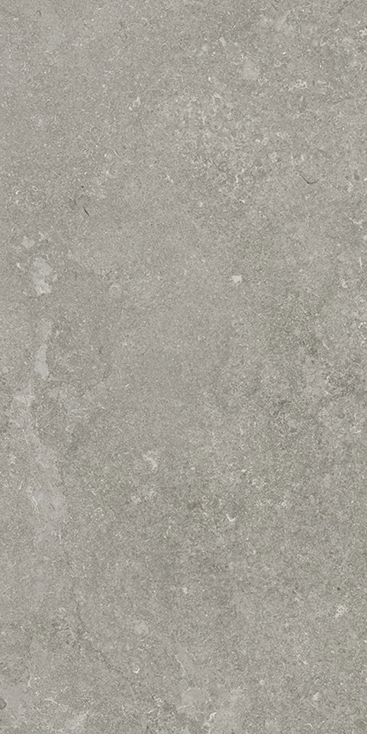 Fossil Cross-Cut Fossil Cross-Cut