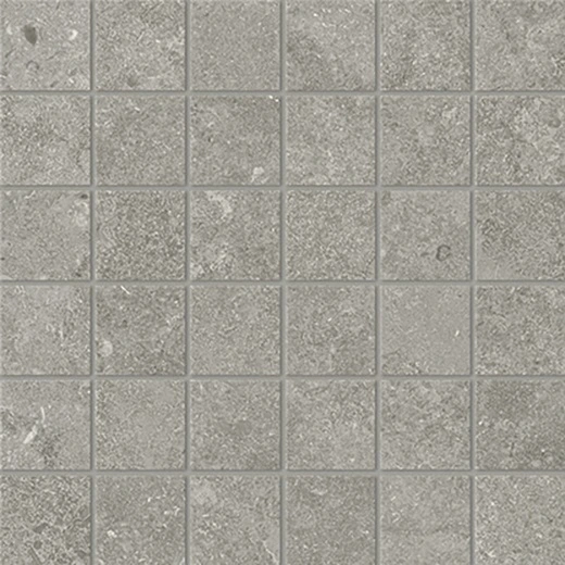 Fossil Cross-Cut 2"x2" Mosaic