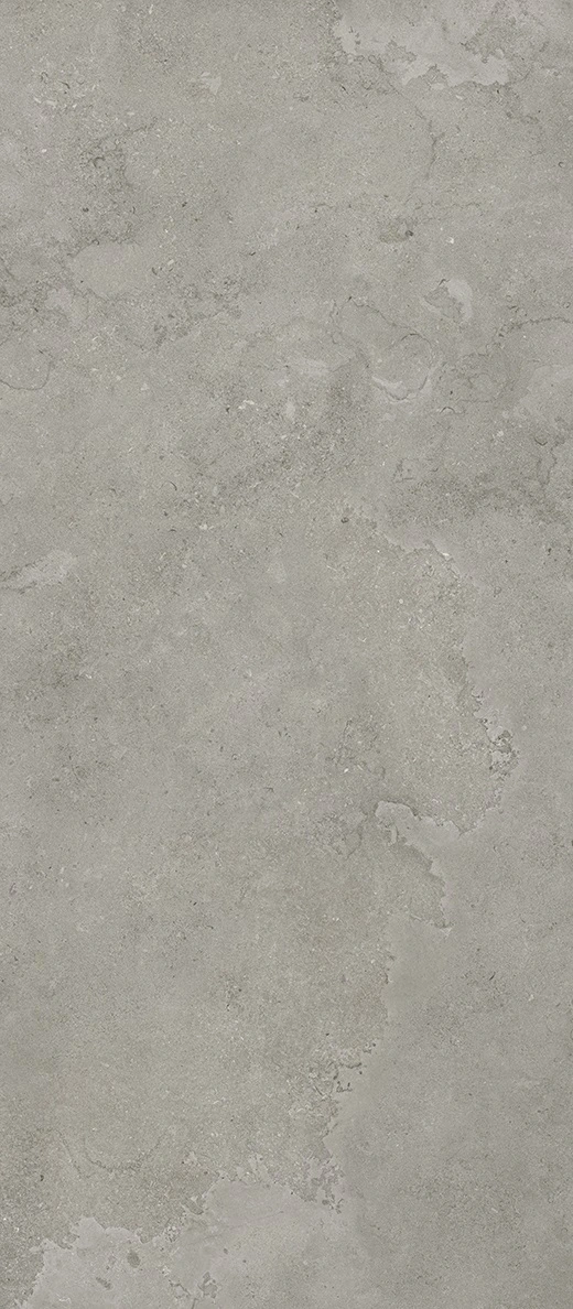 Fossil Cross-Cut Slab