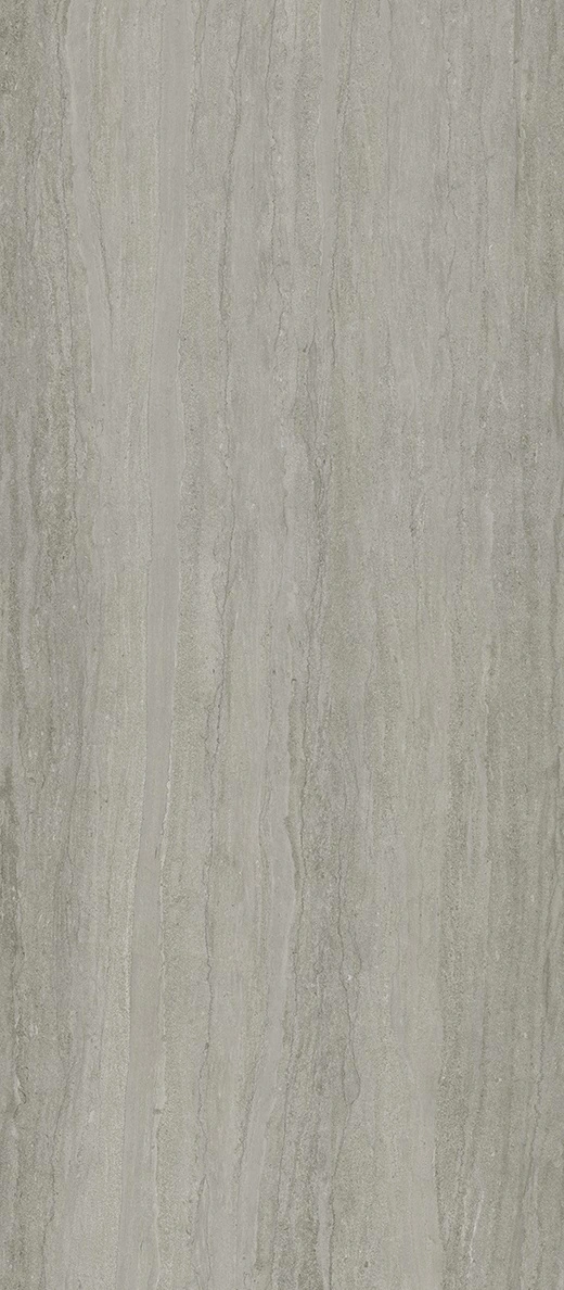 Fossil Vein-Cut Slab