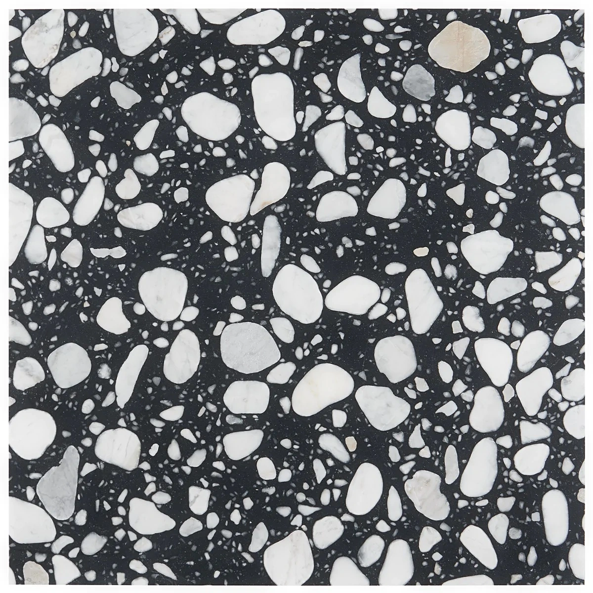 Italy Terrazzo Sacra Nero Black & White 24x24 Honed Terrazzo