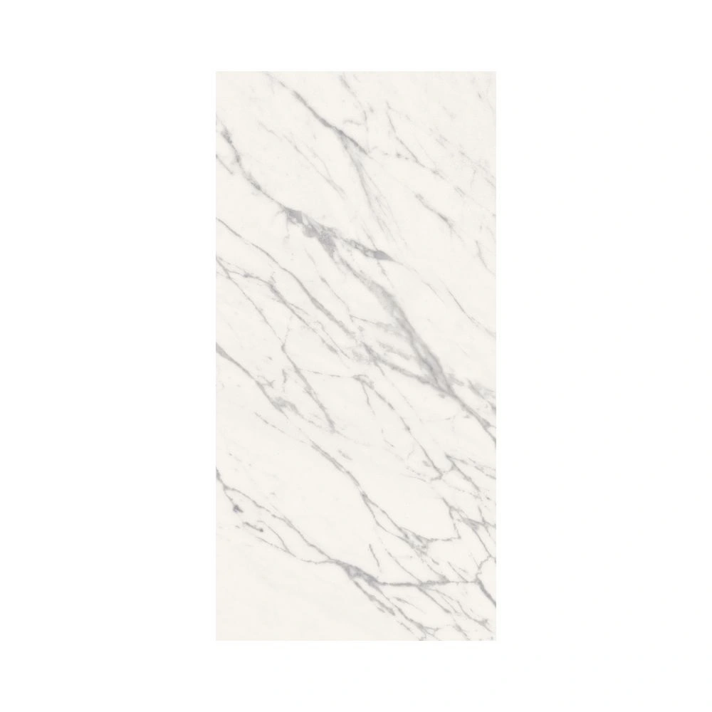 Venatino 12X24 Matte