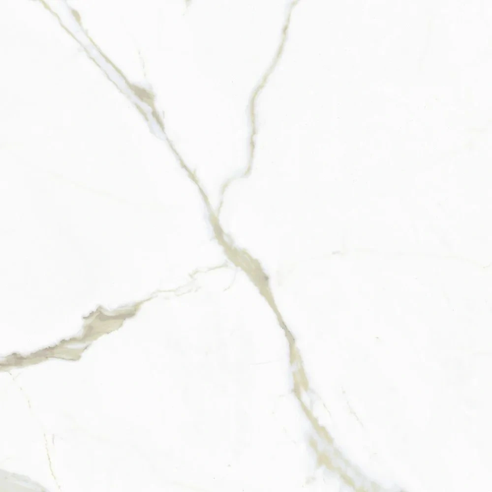 White Calacatta