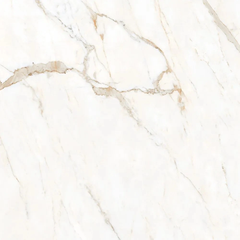 Calacatta Oro 48X48 Polished