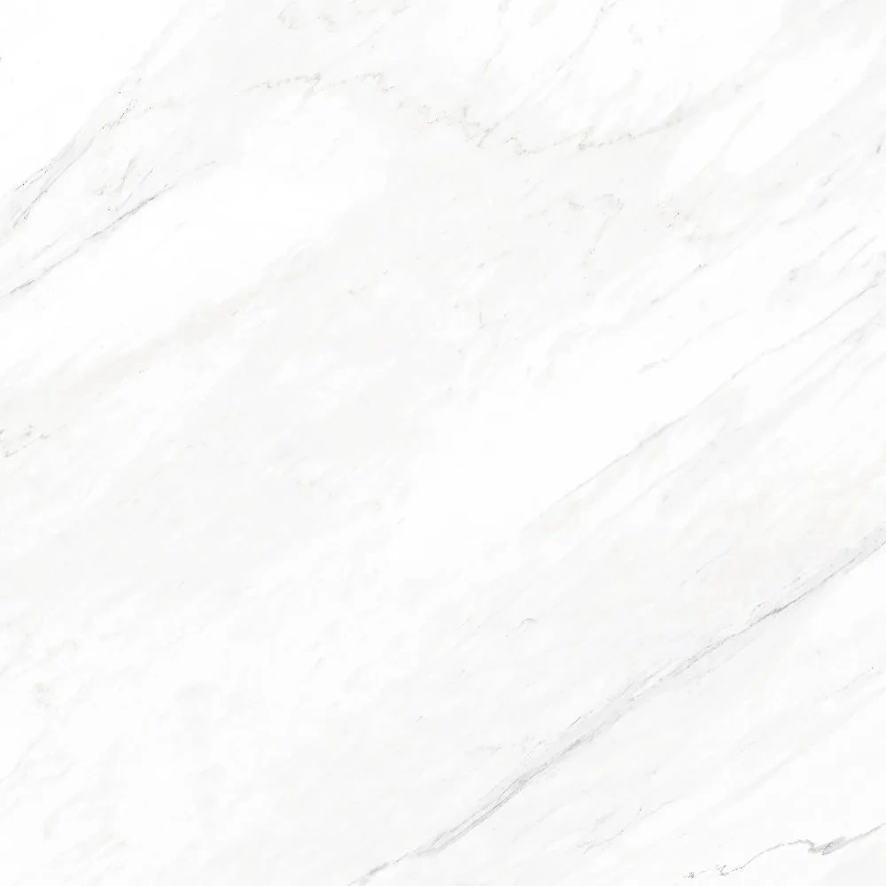 Luxe White 48X48 Honed Matte