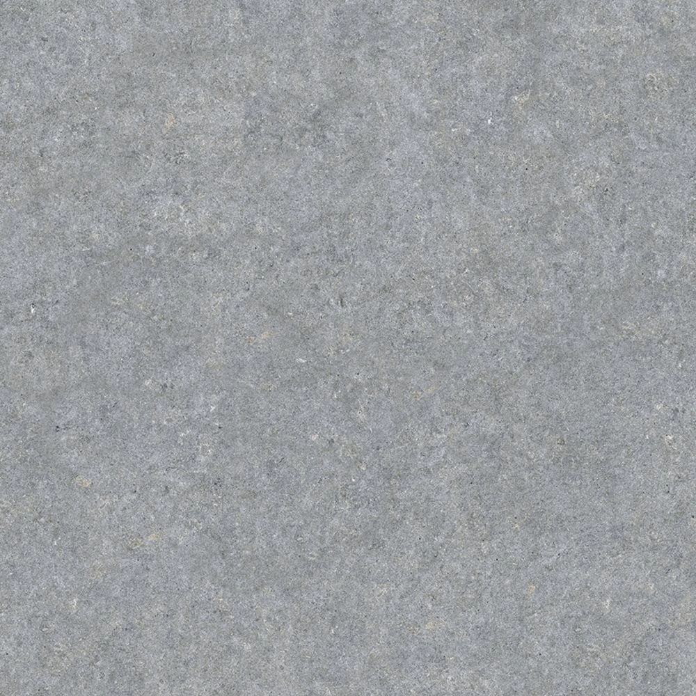 Shell Beach 48X48 Polished