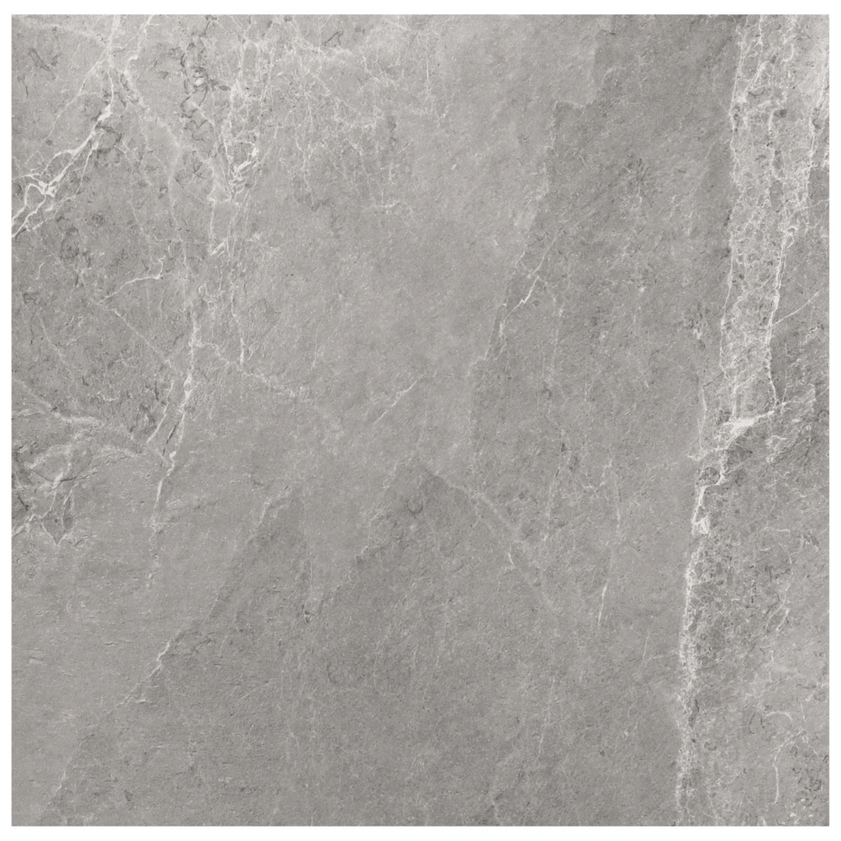 Montech Silver Gray Matte Porcelain Tile