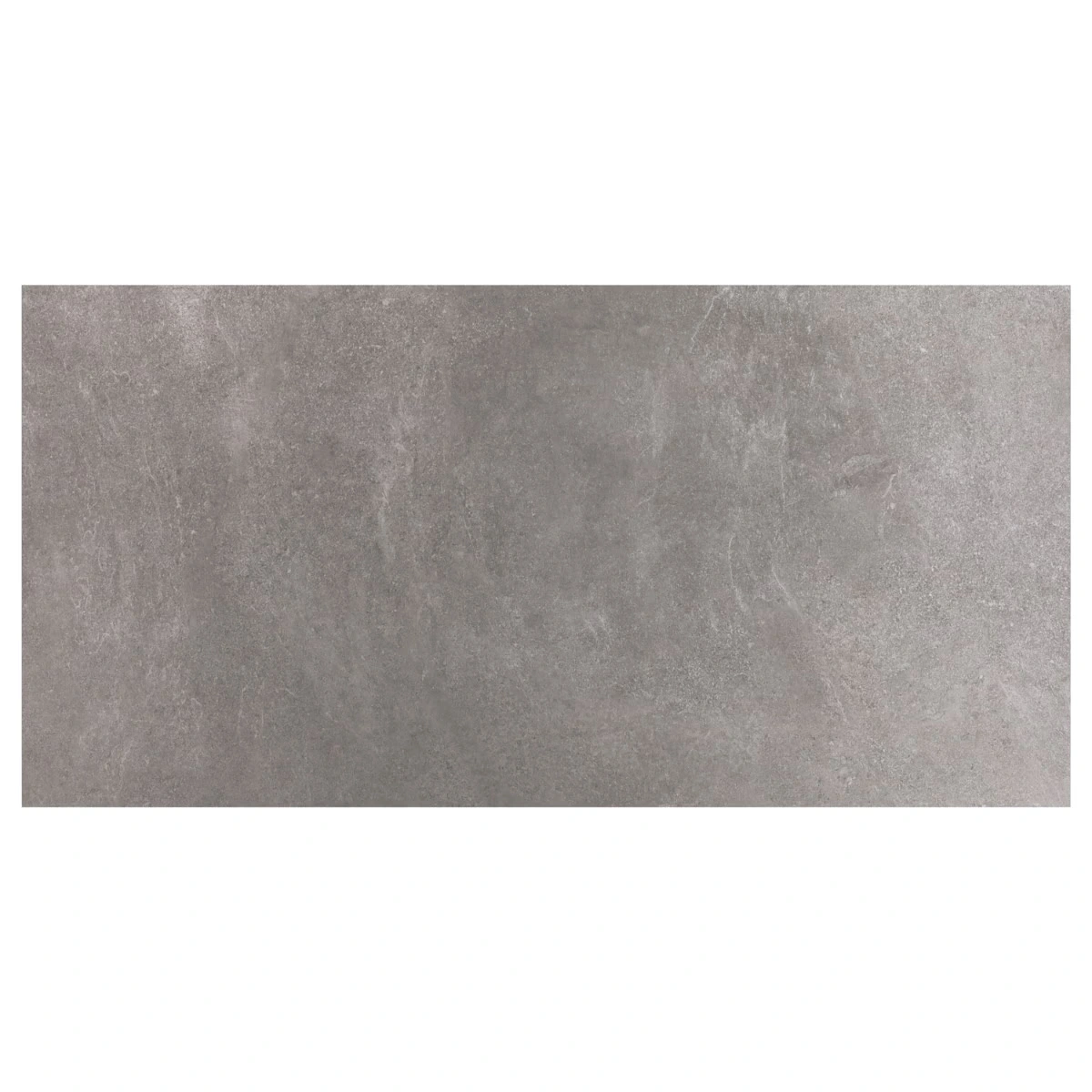 Motley Slate Gray Limestone Look Matte Porcelain Tile