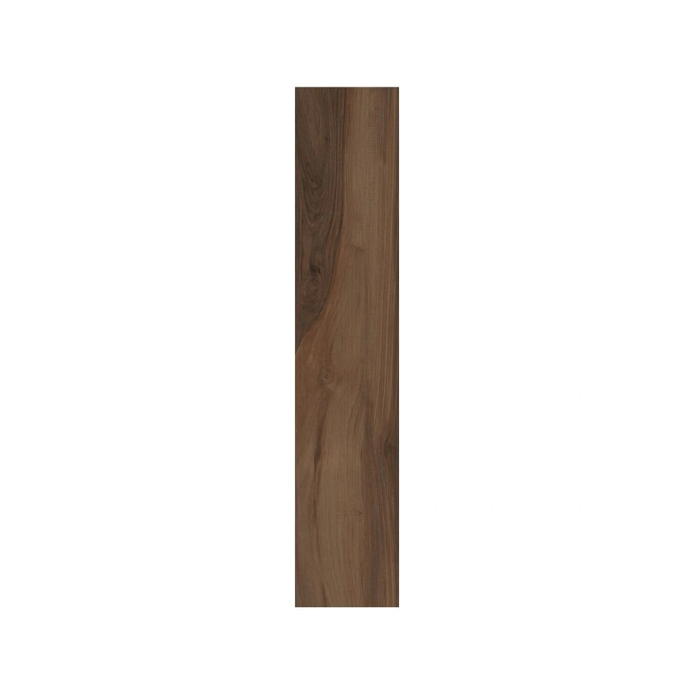 Coffee 8X40