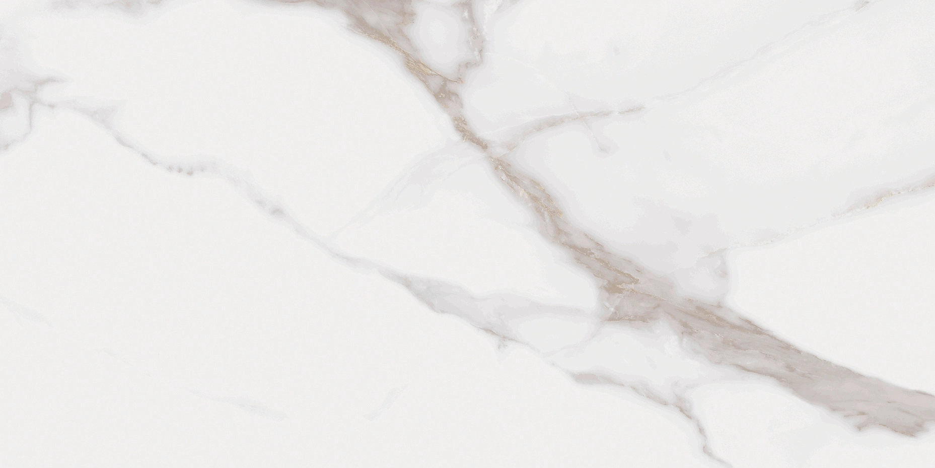 Noble Calacatta Gold Matte