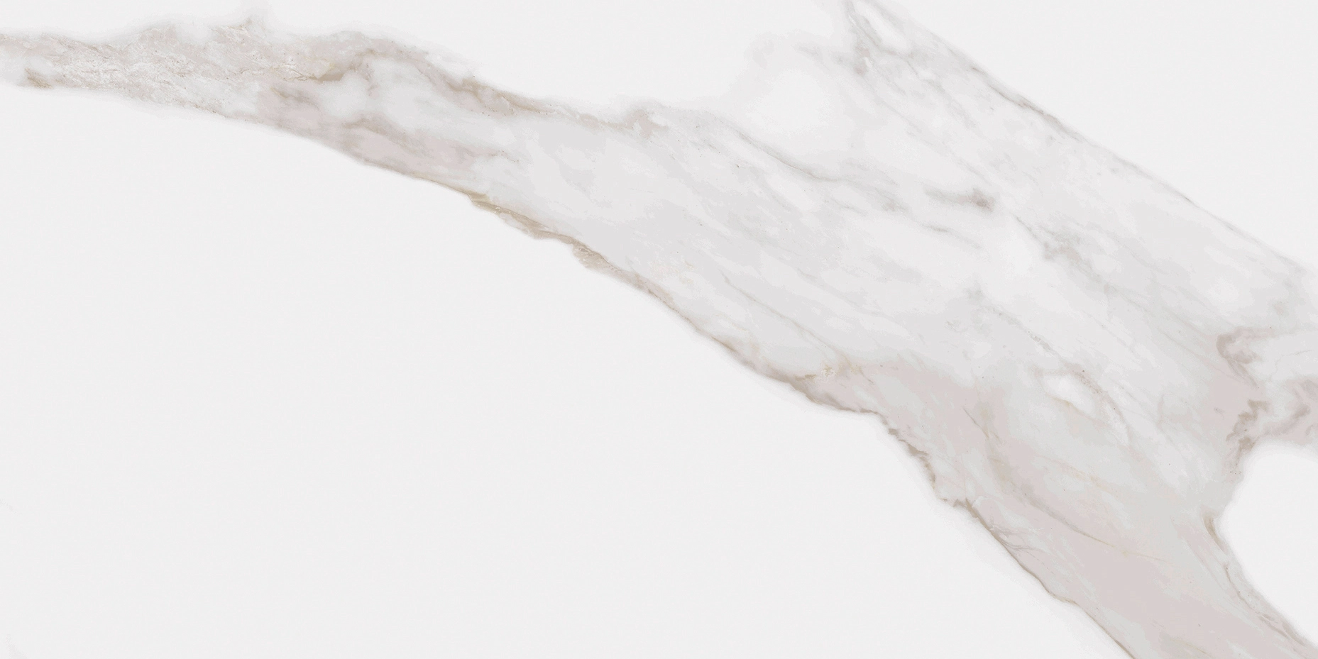Noble Calacatta Gold Matte