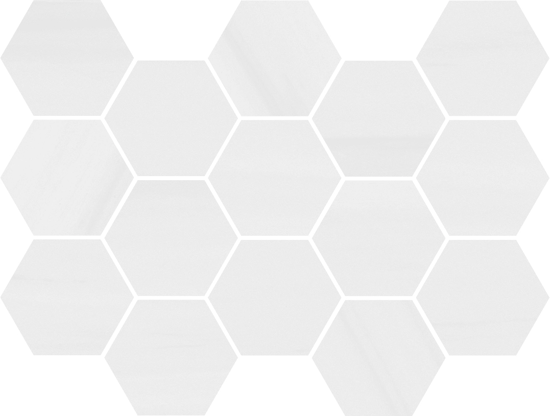 Noble Dolomite Hexagon Matte Mosaic