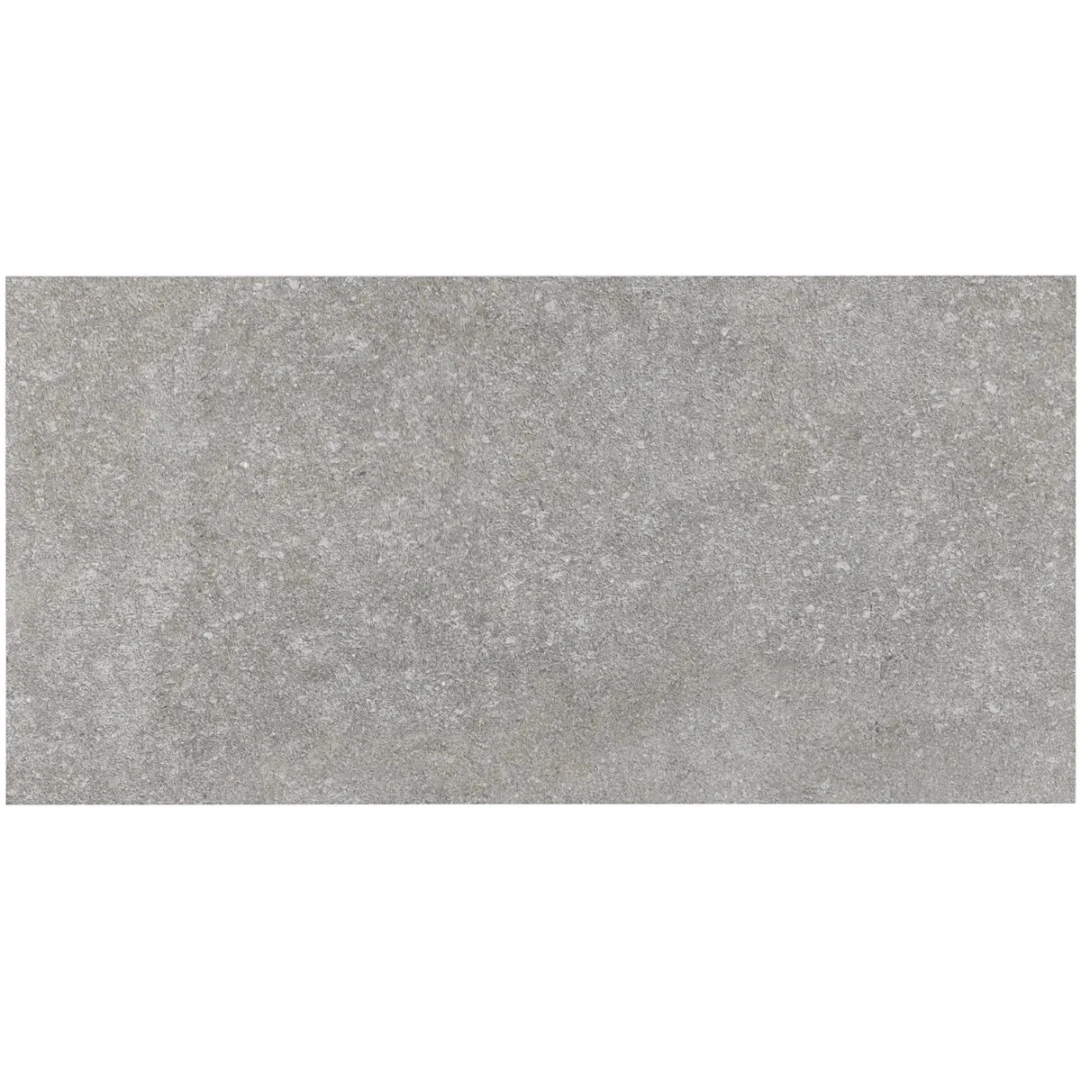 Olympic Gray Matte Porcelain