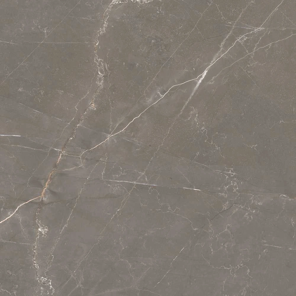 Bronze Amani 48X110 Polished