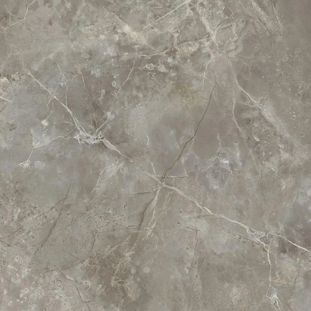 C-Stone Fior D’Bosc 48X110 Polished