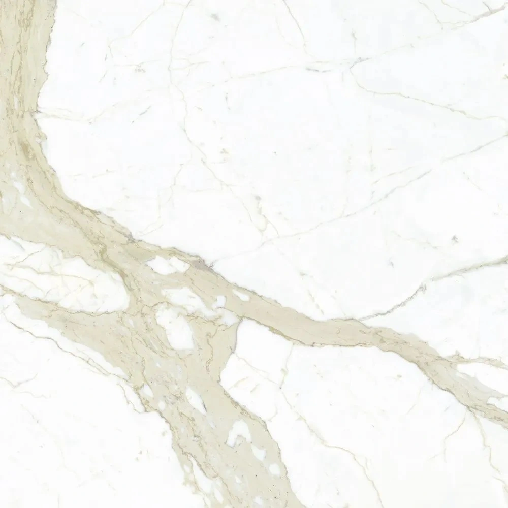 Marmi White Calacatta 60×120 Polished