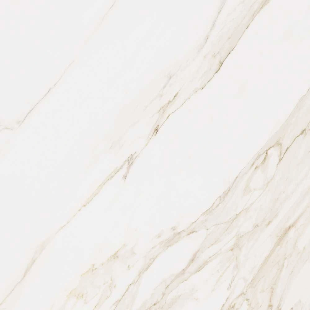 Calacatta 48X48 Matte
