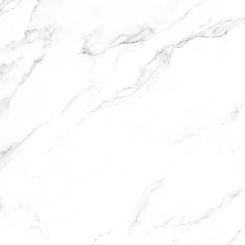 Rio White 48X96 Polished Slab