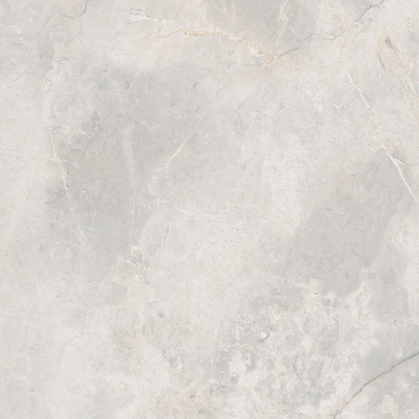 Woodland Marble White Polished