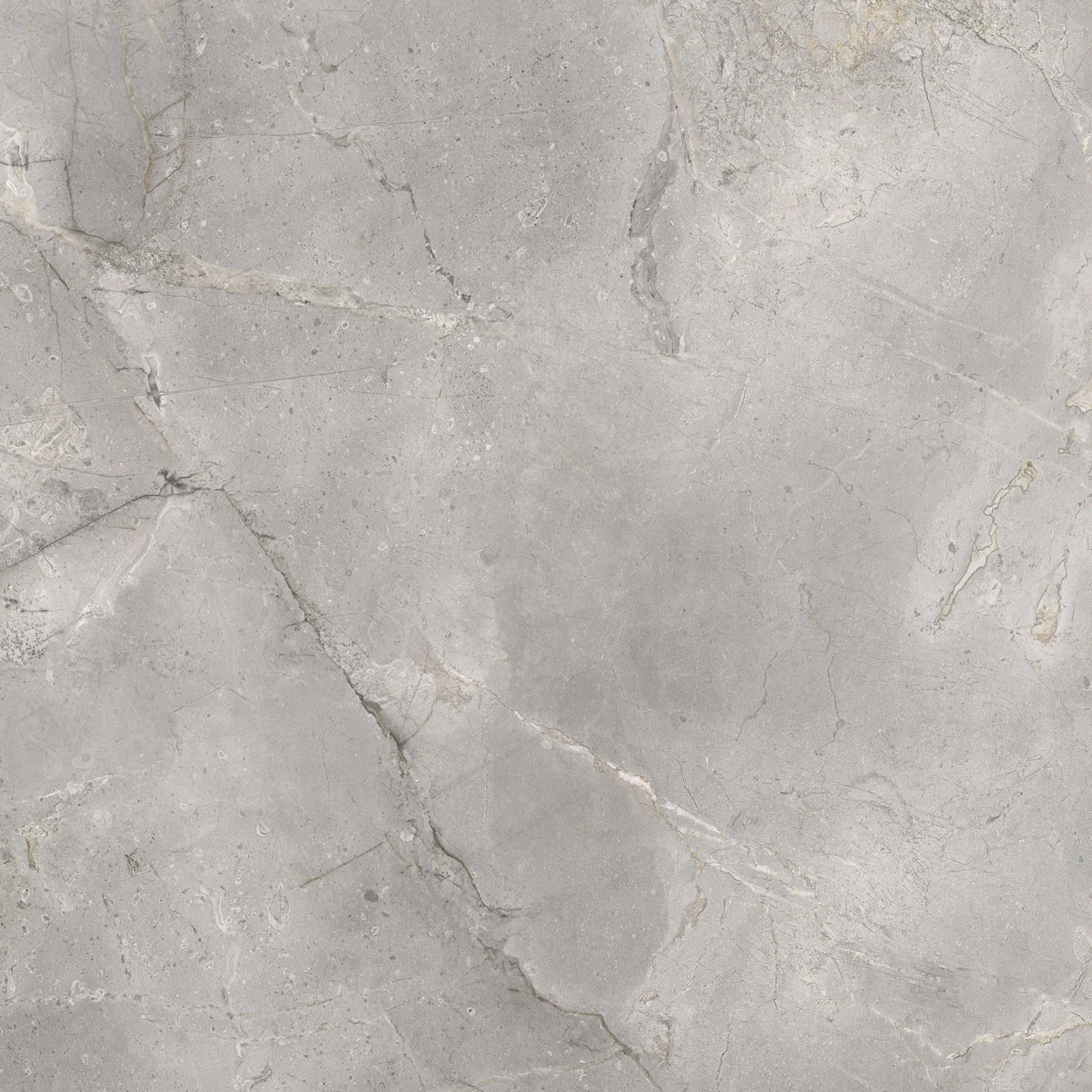 Woodland Marble Silver Polished