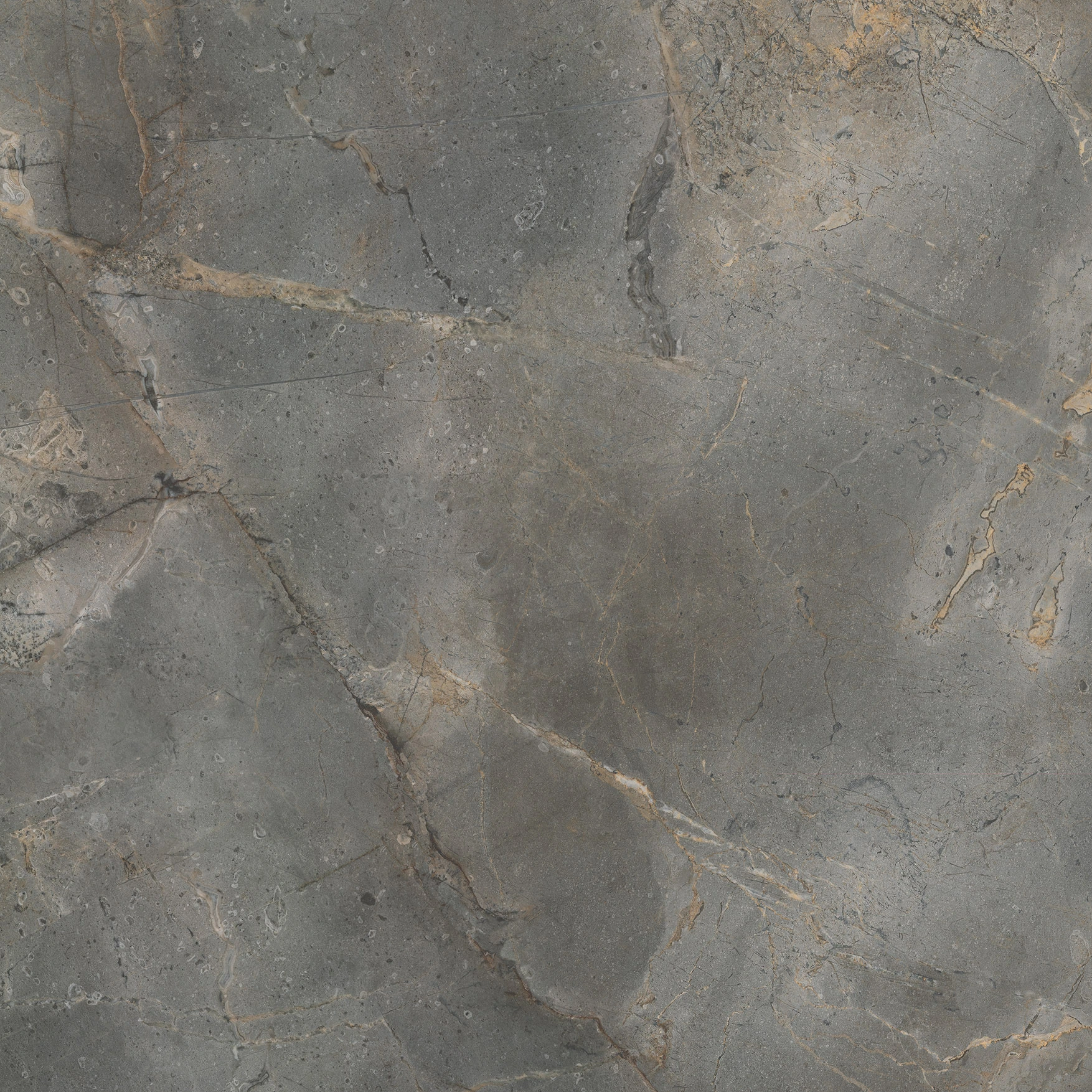 Woodland Marble Graphite Polished