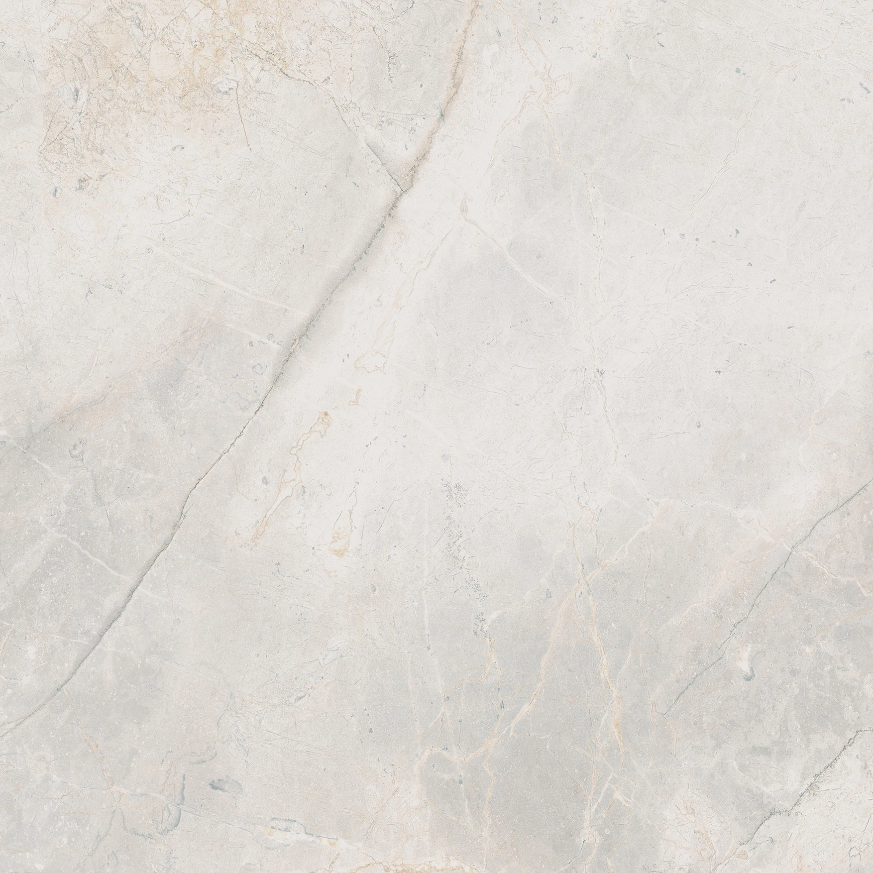 Woodland Marble White Matte