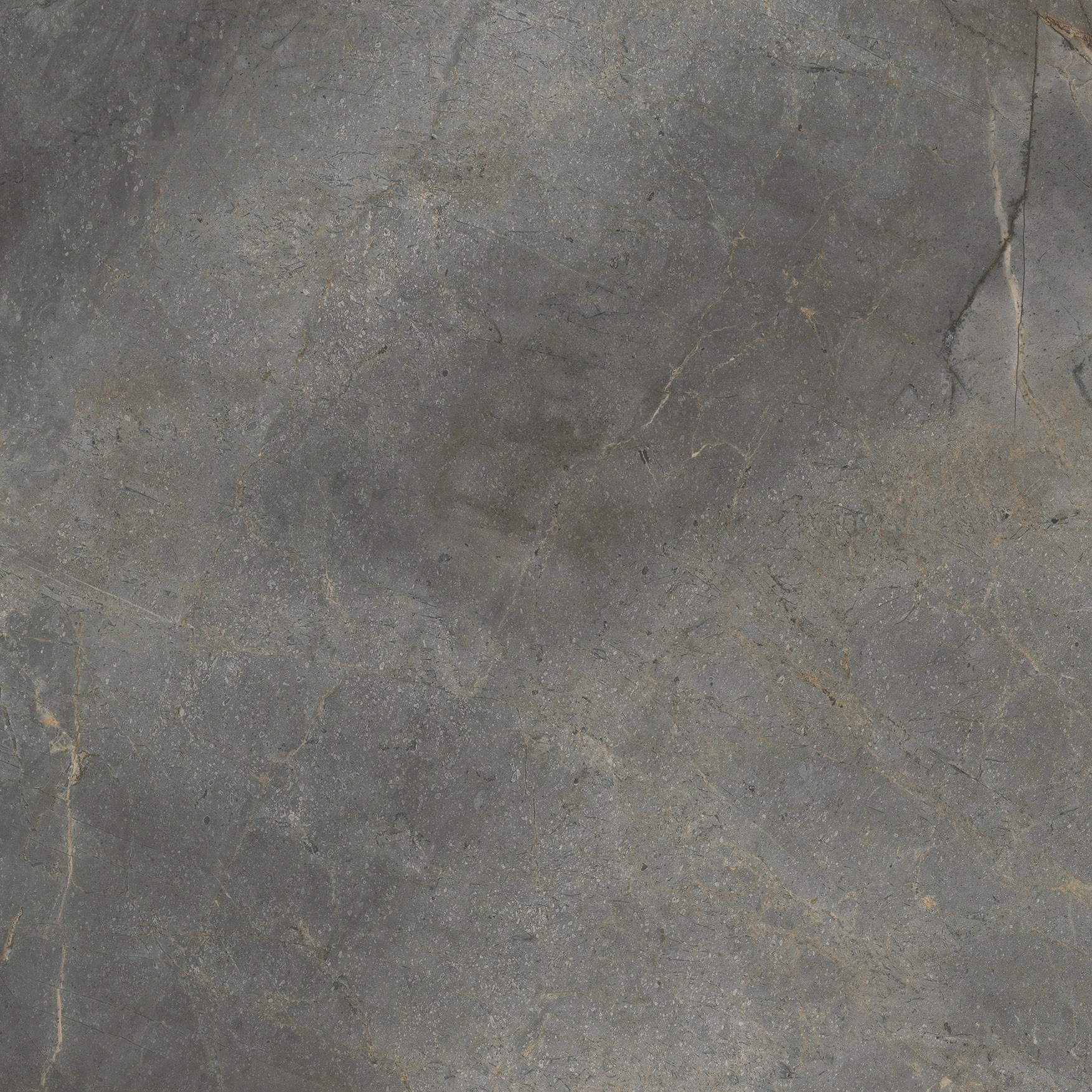 Woodland Marble Graphite Matte