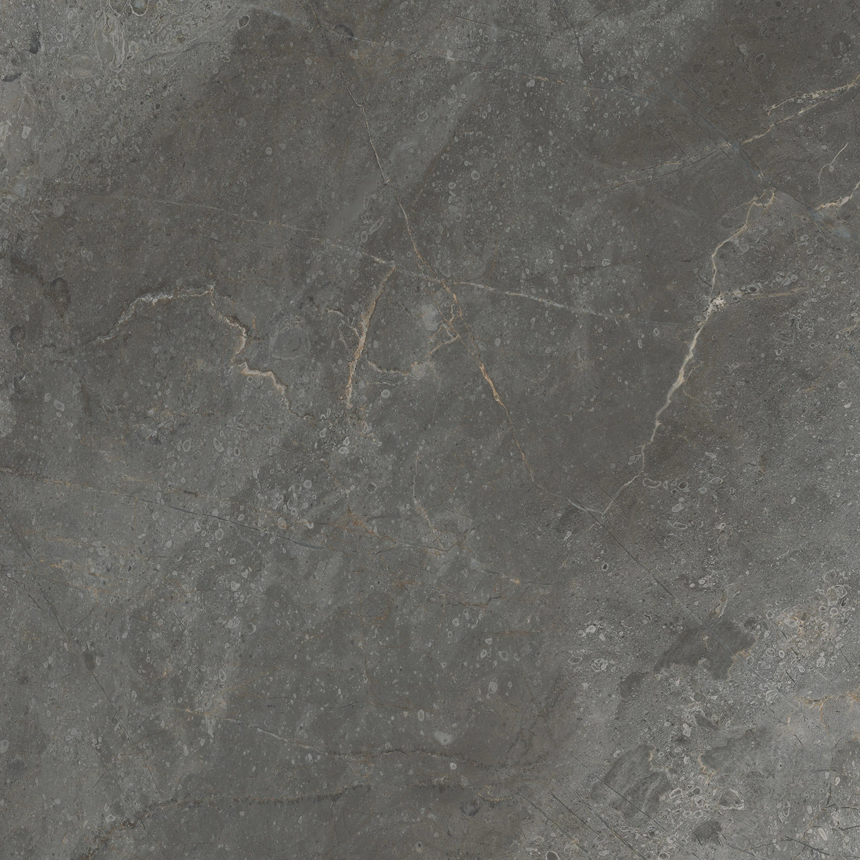 Woodland Marble Graphite Matte