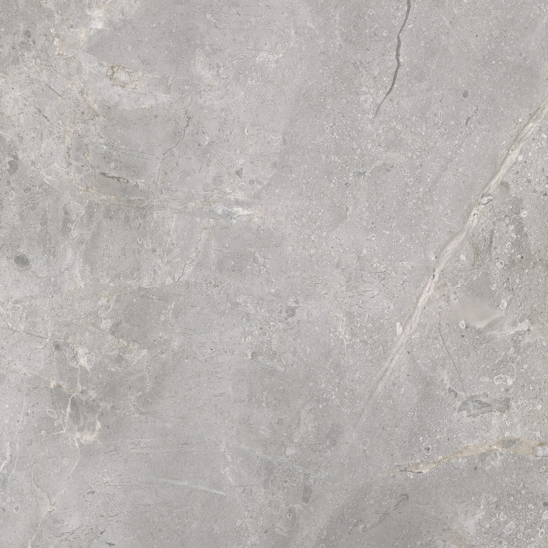 Woodland Marble Silver Polished