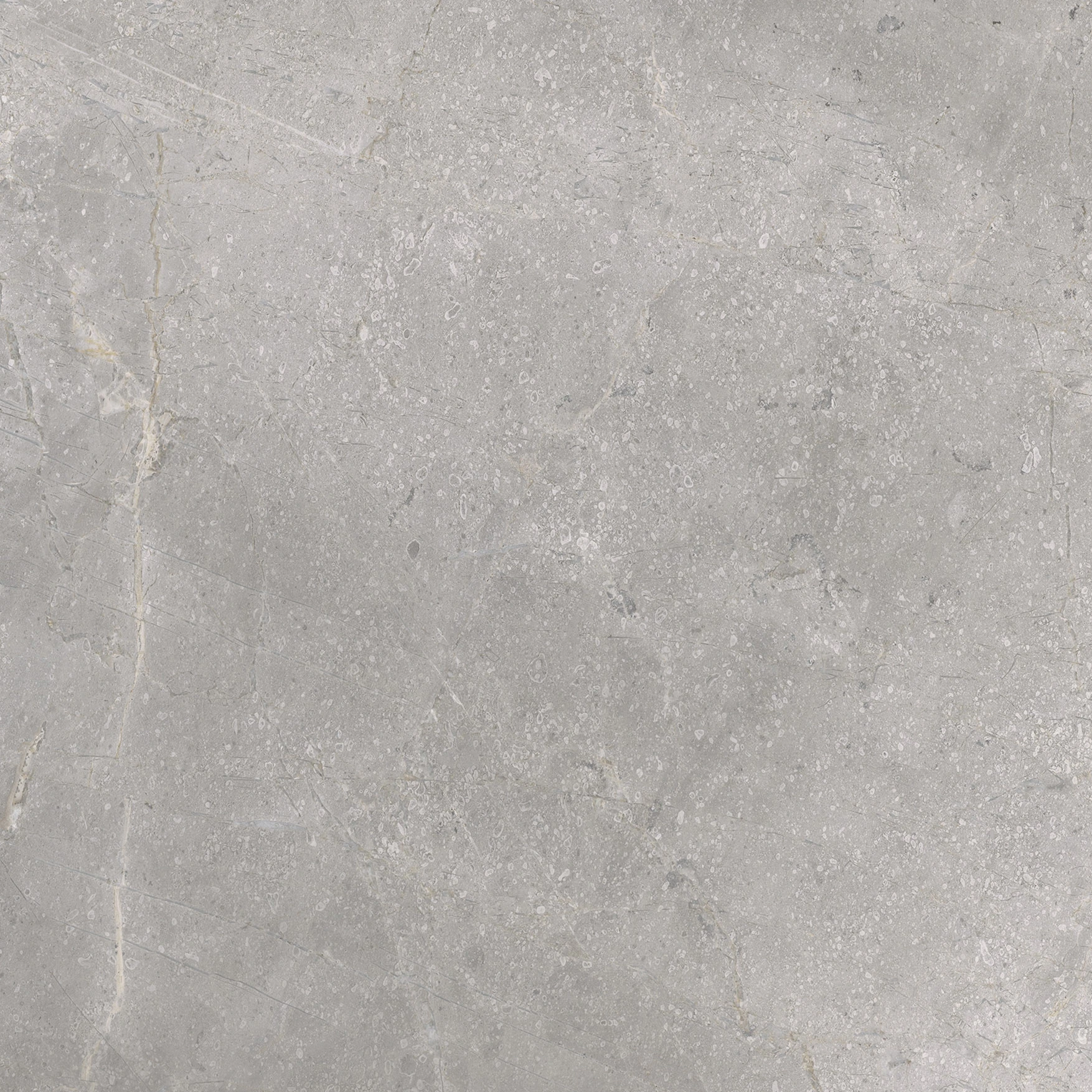 Woodland Marble Silver Matte