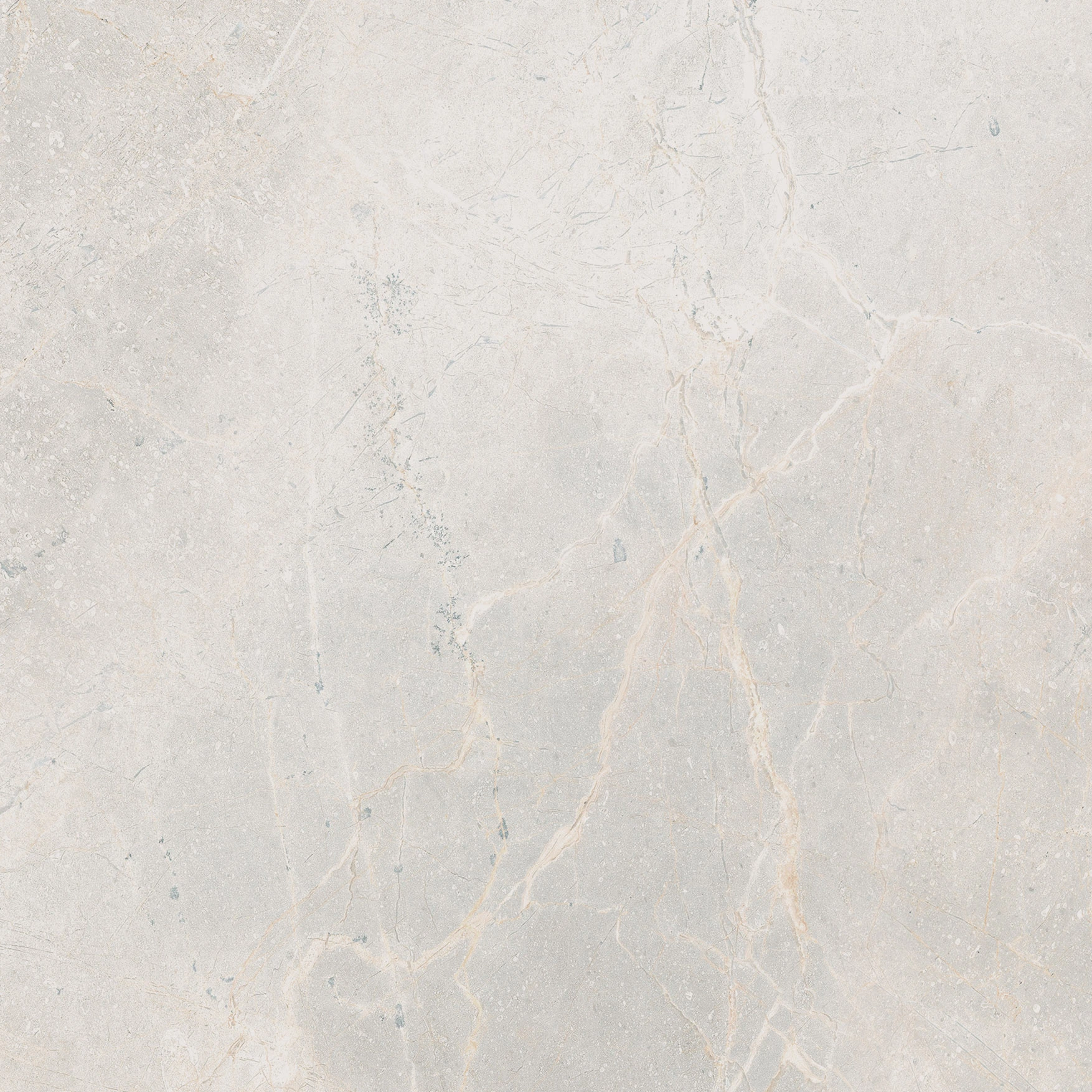 Woodland Marble White Polished