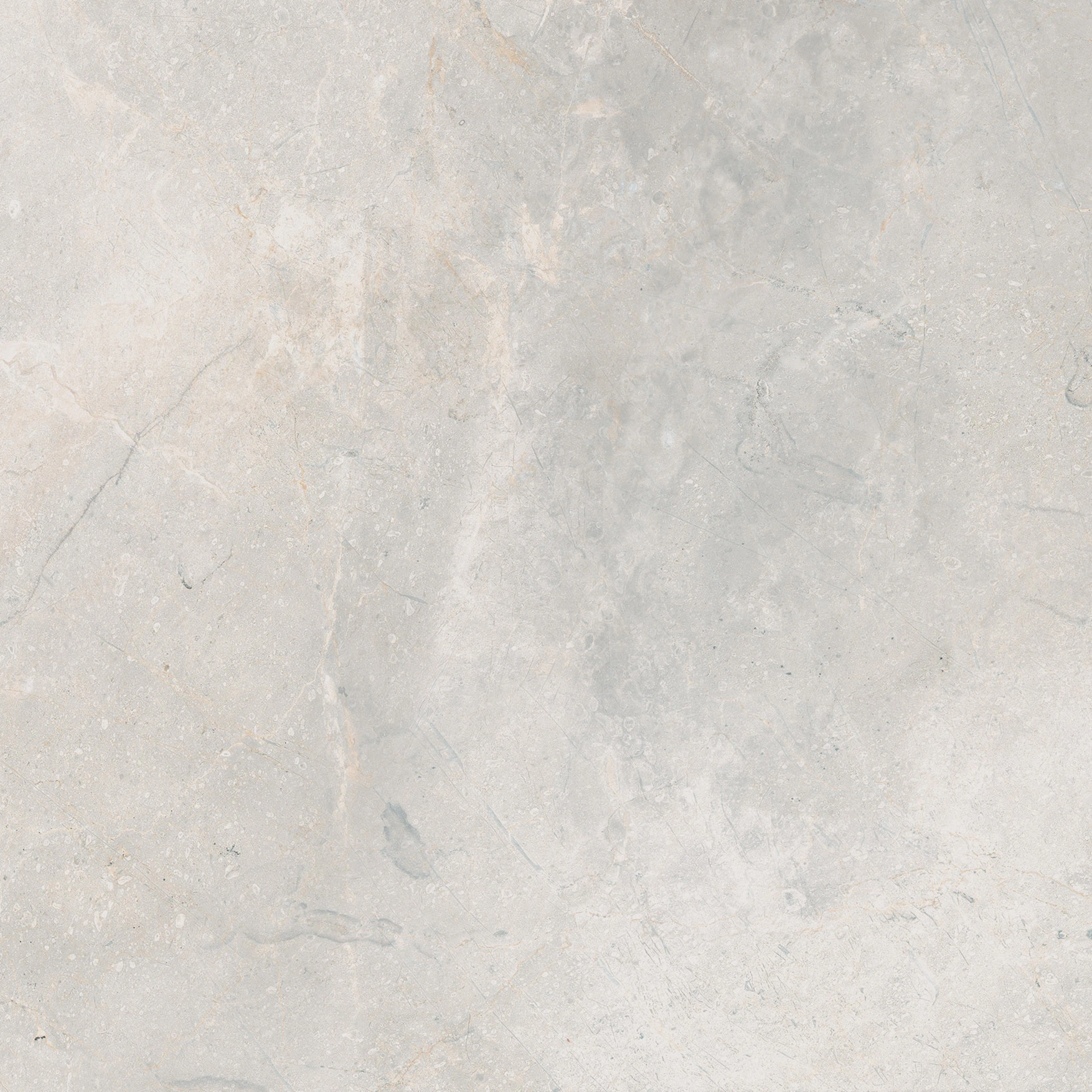 Woodland Marble White Matte