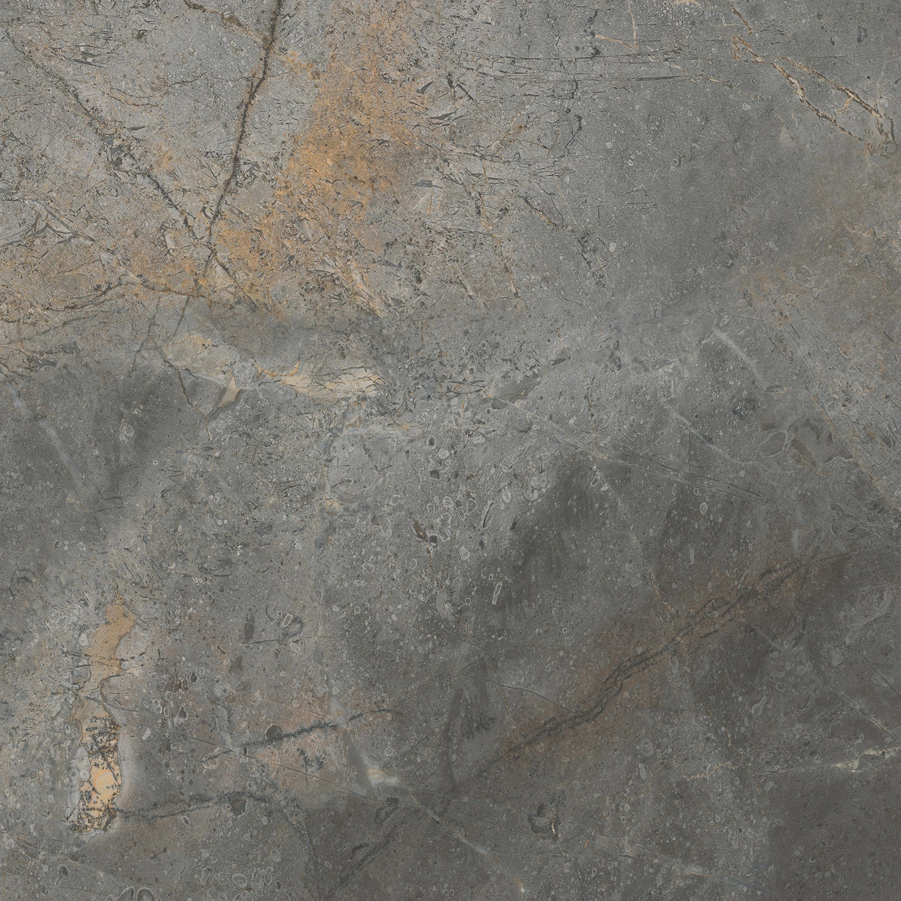 Woodland Marble Graphite Polished