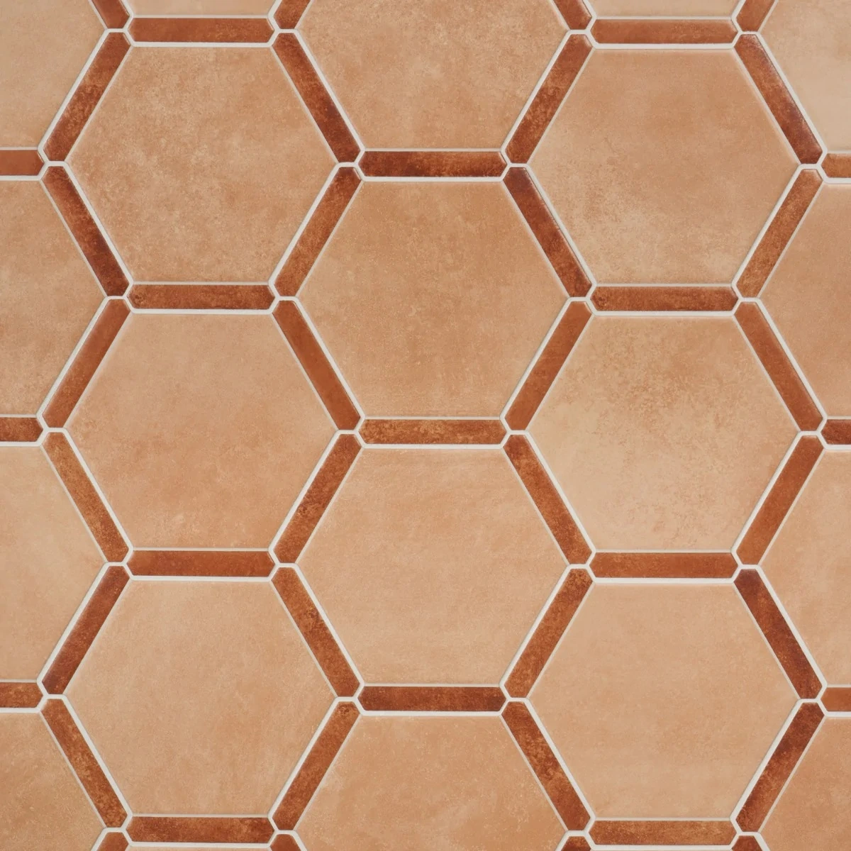 Zemira Terracotta Light 9" Hexagon Matte Porcelain