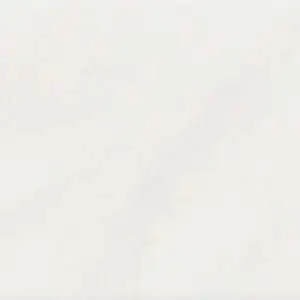 Brasilia Fossile Wall