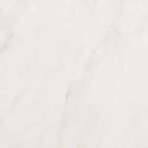 Brasilia Fossile Polished