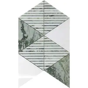 Burmilla Venetian/ Mint Green