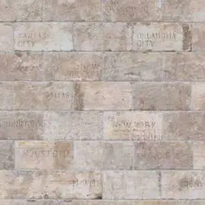 Chicago Brick South Side 4"x8" City Mix