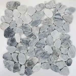 Fossil Imprints Bardiglio