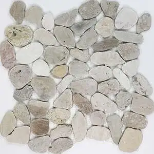 Fossil Imprints Light