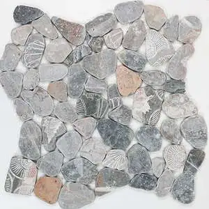 Fossil Imprints Occhialino