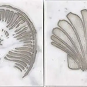 Gascogne Beige 2"x2" Engarved Dot